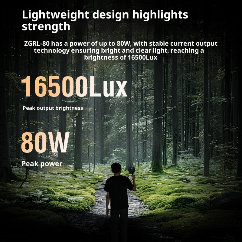 ZGRL80 80 واط COB LED الفيديو  - مراجعة Photography Lighting Handheld وسعره
