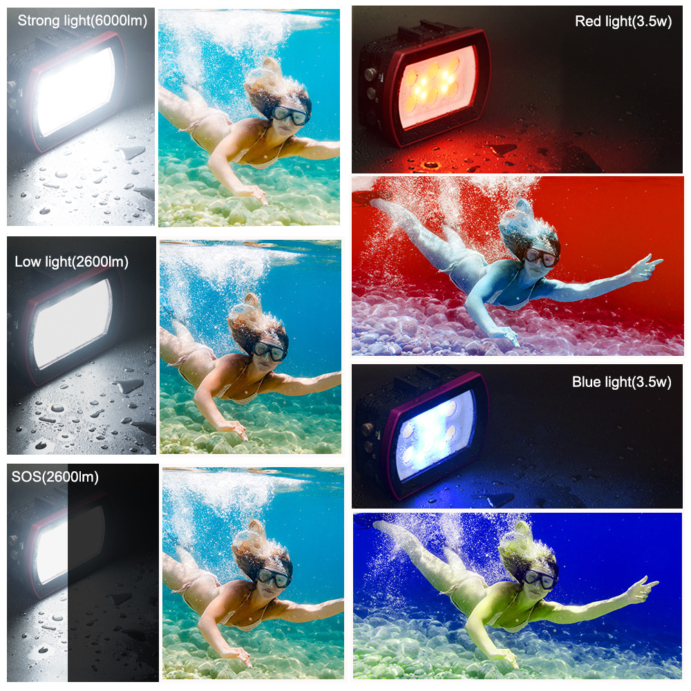 Searogs الألومنيوم LED مصباح غ - مراجعة Photography Lighting Brands وسعره